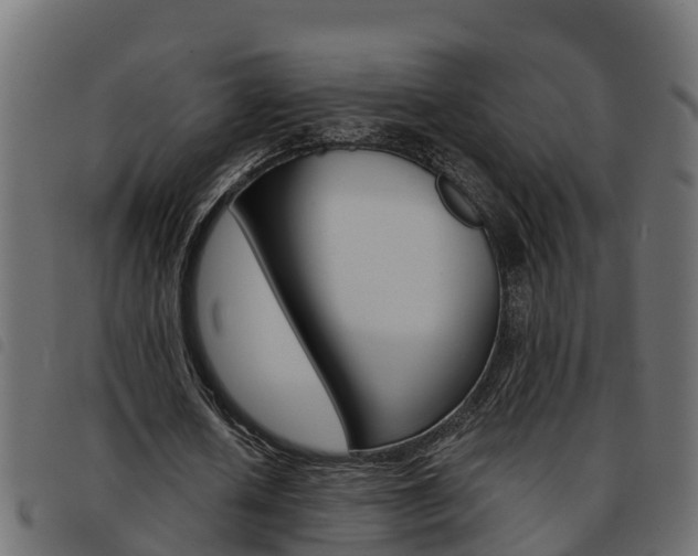 X0000093590626200710151018