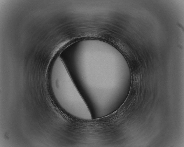 X0000093590628200710151018