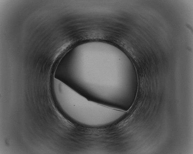 X0000093590629200710151018