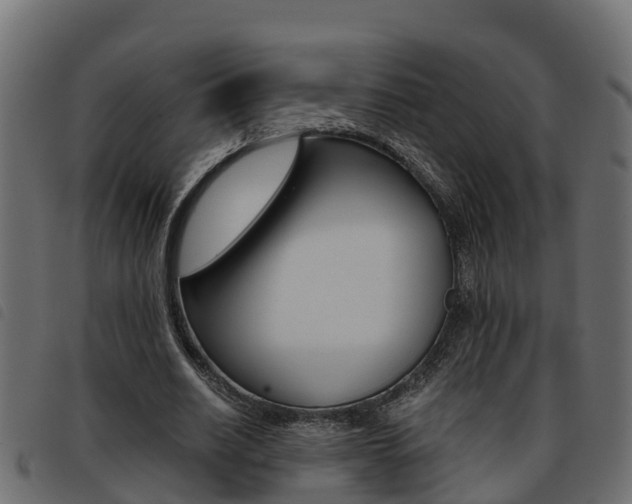 X0000093590630200710151018