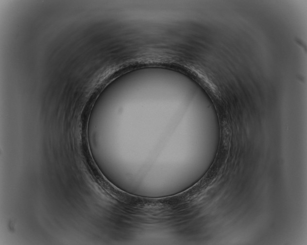 X0000093590631200710151018