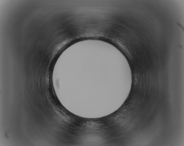 X0000093590632200710151018