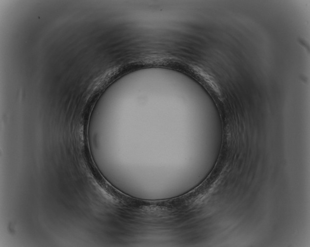 X0000093590633200710151018