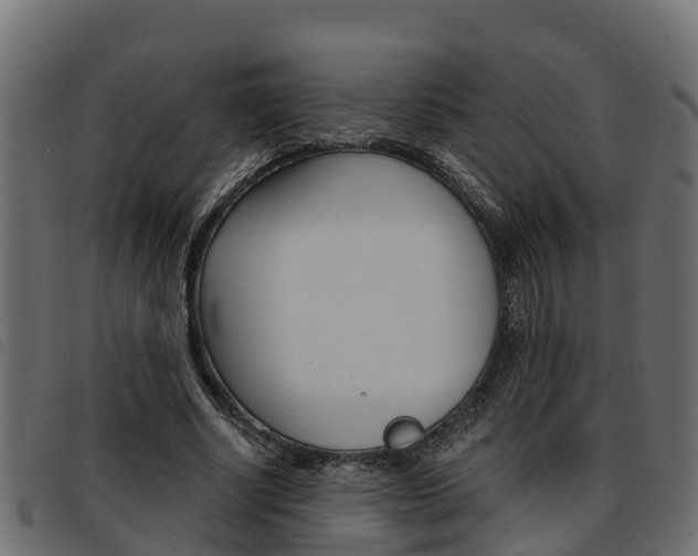 X0000093590634200710151018