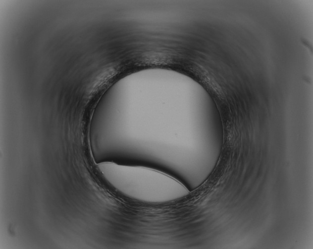 X0000093590635200710151018