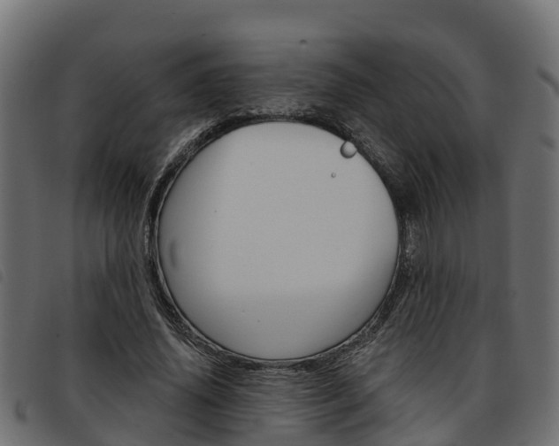 X0000093590636200710151018