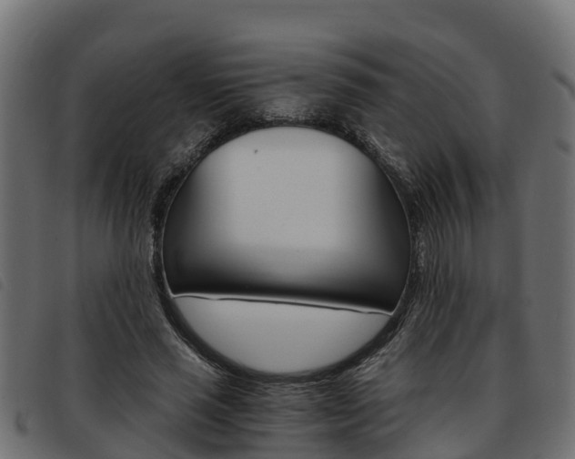 X0000093590637200710151018