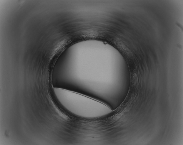 X0000093590638200710151018