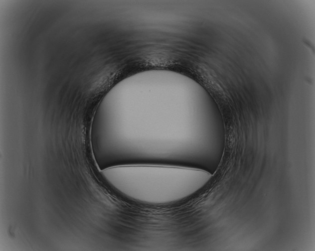 X0000093590639200710151018