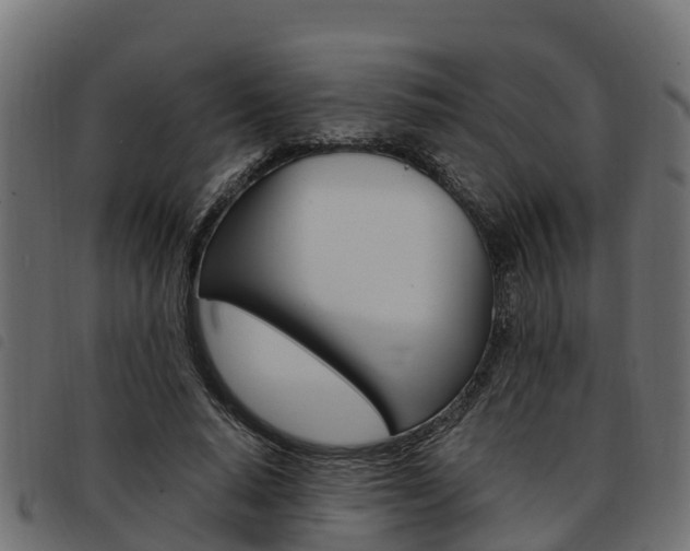 X0000093590640200710151018