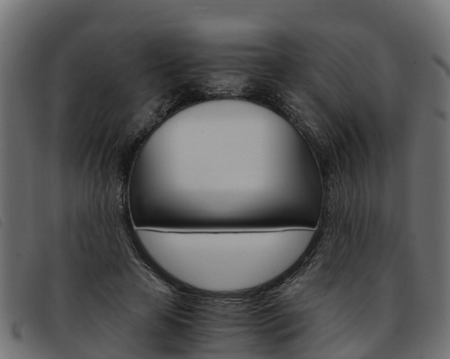 X0000093590641200710151018