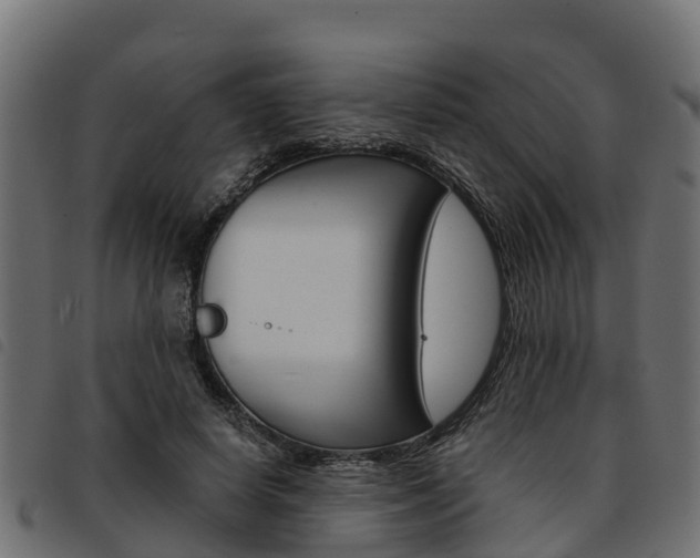 X0000093590642200710151018