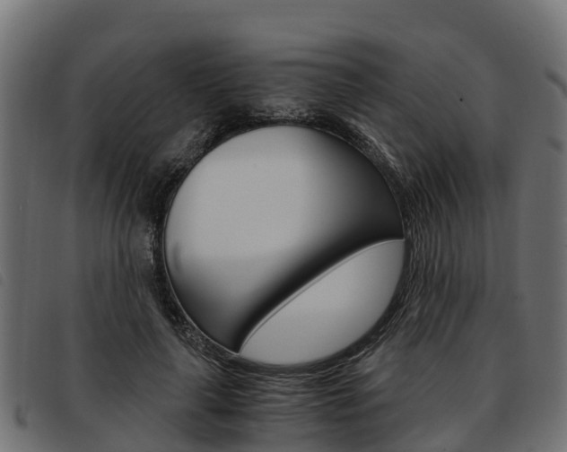 X0000093590643200710151018