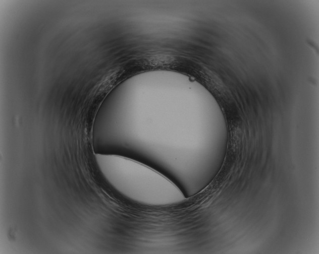 X0000093590644200710151018
