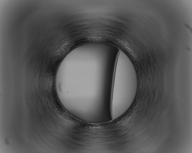X0000093590645200710151018