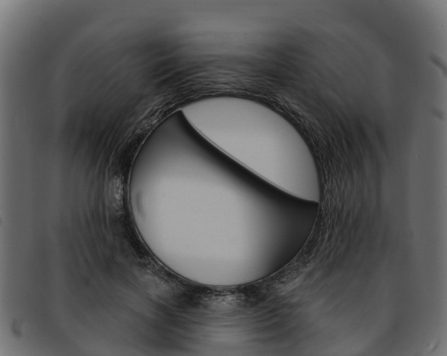 X0000093590646200710151018