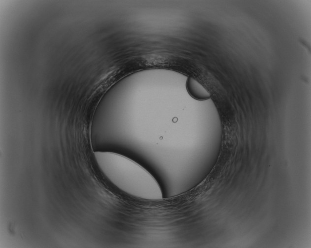 X0000093590648200710151018