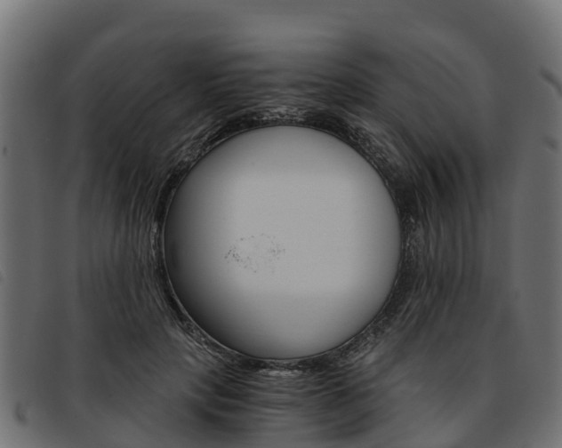 X0000093590649200710151018