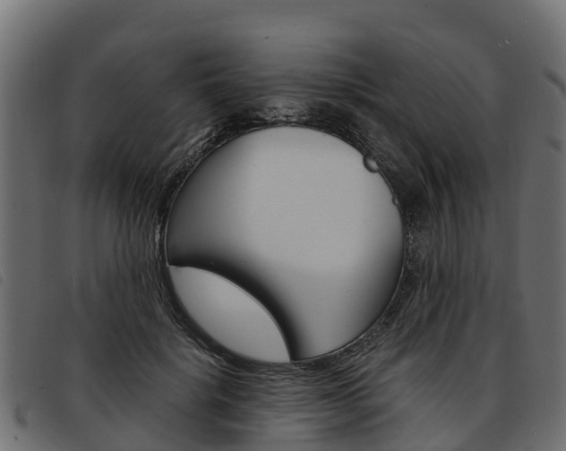 X0000093590652200710151018
