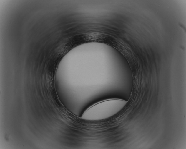 X0000093590653200710151018