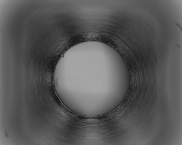X0000093590654200710151018