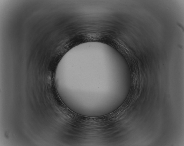 X0000093590655200710151018