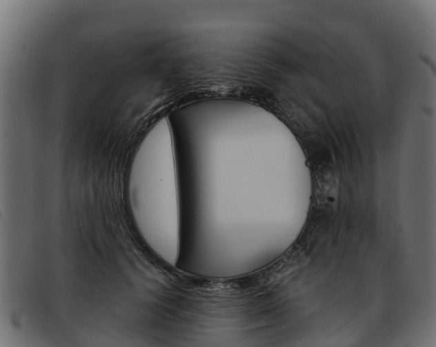 X0000093590656200710151018