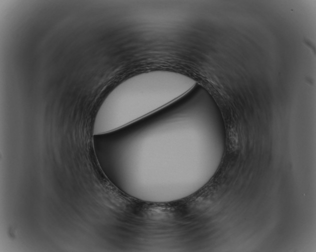 X0000093590657200710151018