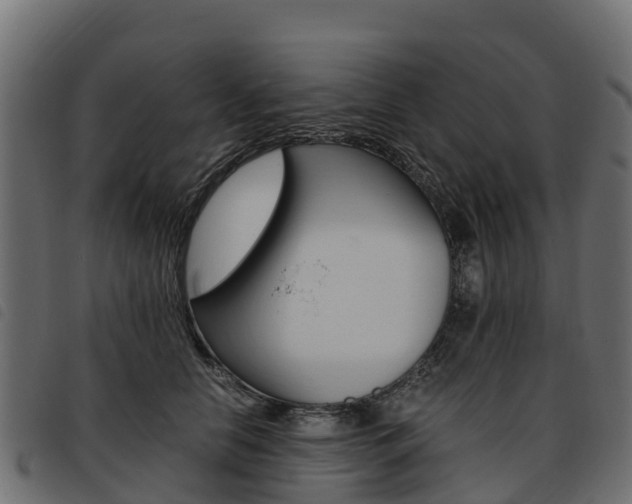 X0000093590658200710151018