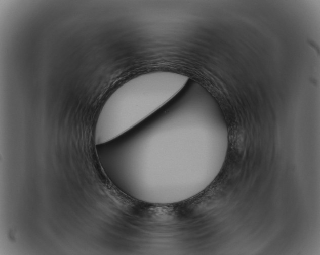 X0000093590660200710151018