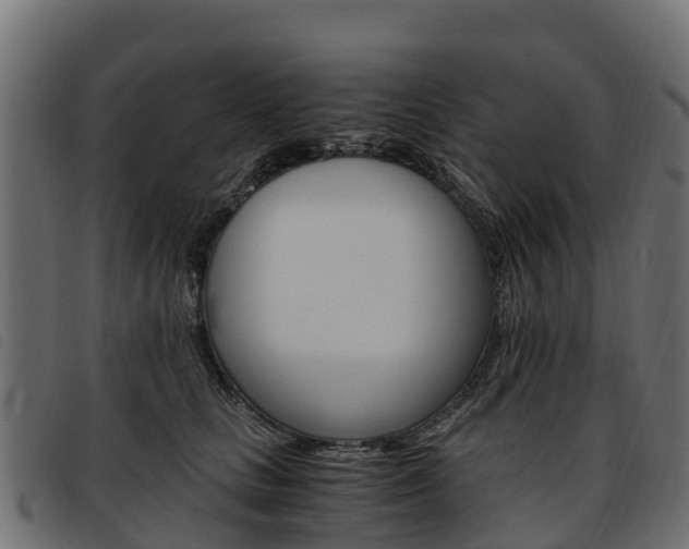 X0000093590661200710151018