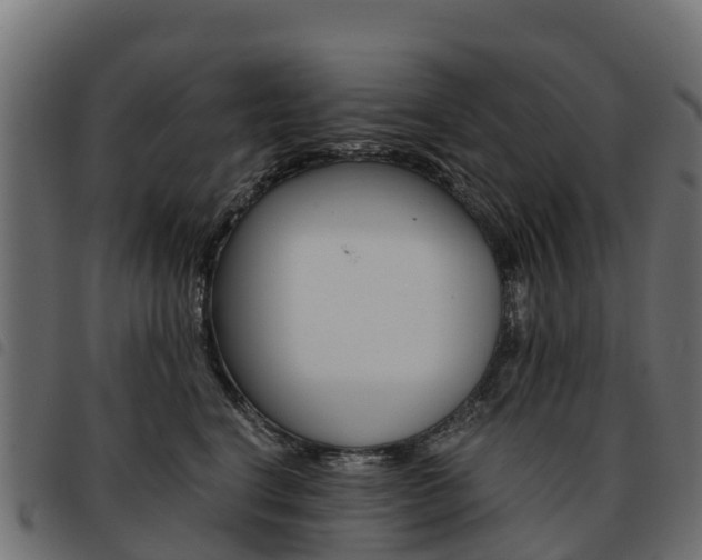 X0000093590664200710151018