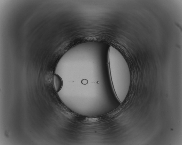 X0000093590665200710151018