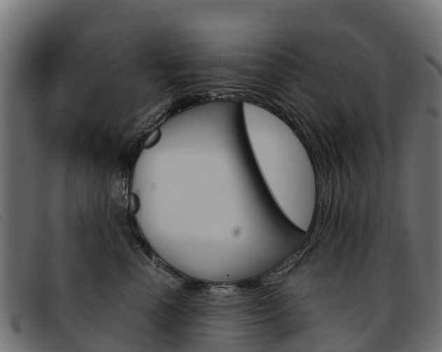 X0000093590666200710151018