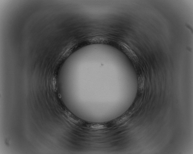 X0000093590669200710151018