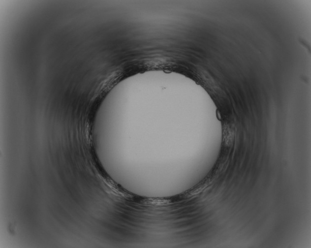 X0000093590670200710151018