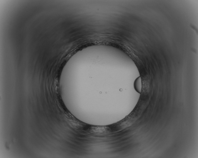 X0000093590671200710151018