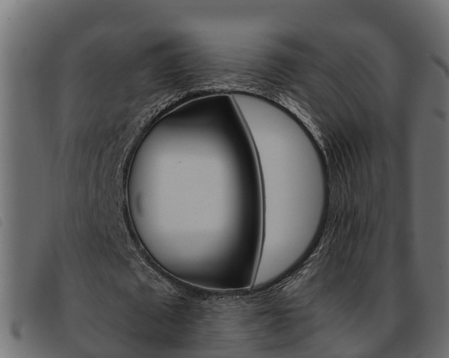 X0000093590673200710151018
