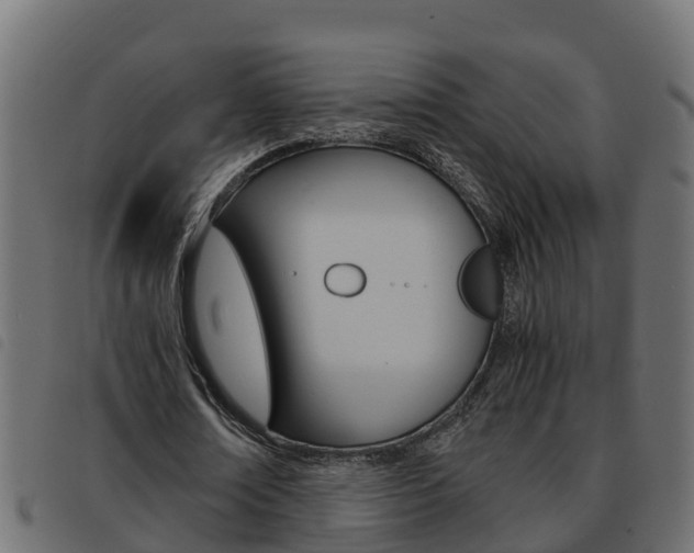 X0000093590674200710151018