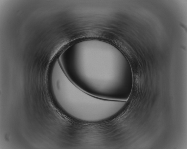 X0000093590676200710151018
