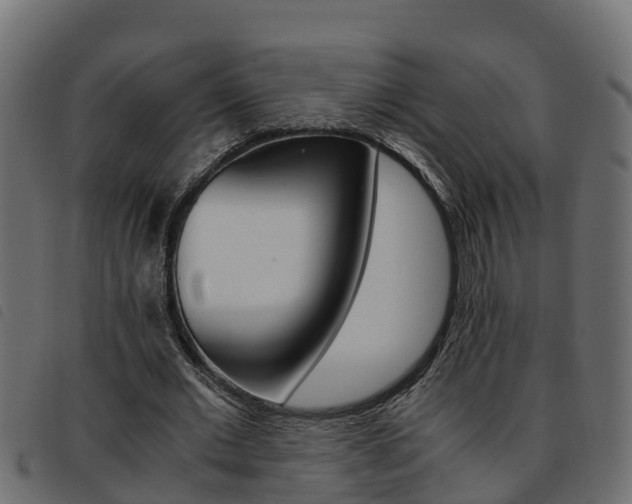 X0000093590677200710151018