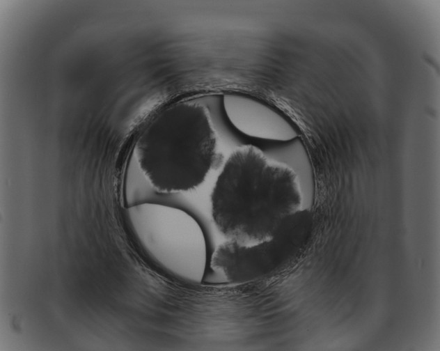 X0000093590679200710151018