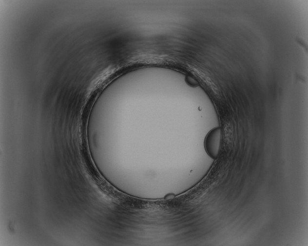 X0000093590682200710151018