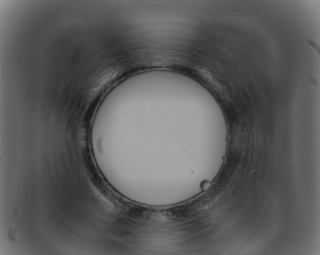 X0000093590683200710151018