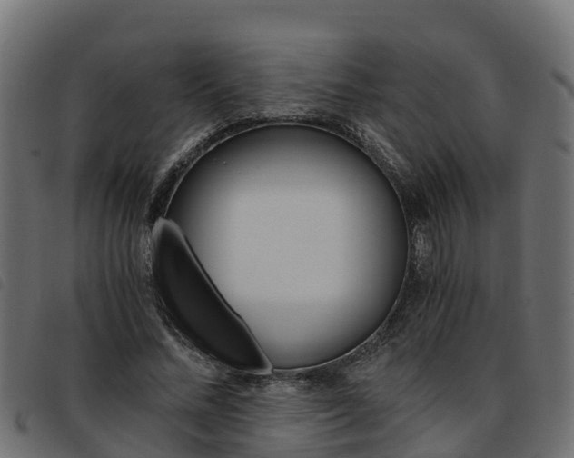 X0000093590684200710151018