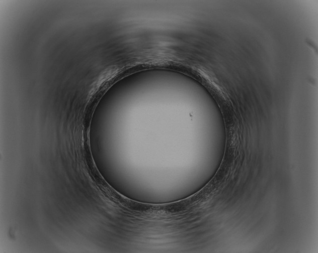 X0000093590685200710151018