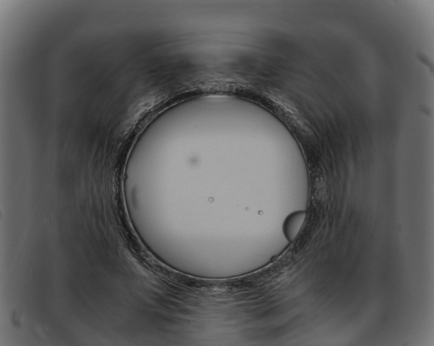 X0000093590687200710151017