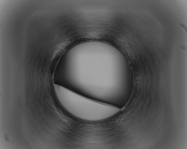 X0000093590688200710151017