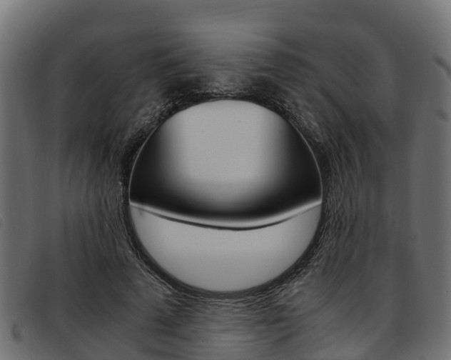 X0000093590689200710151017
