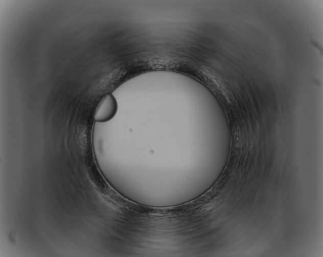 X0000093590690200710151017
